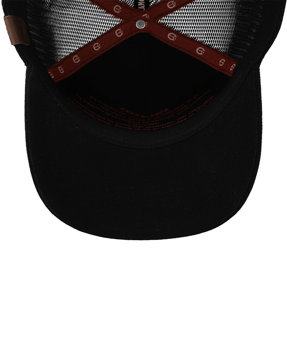 Double line Black Star